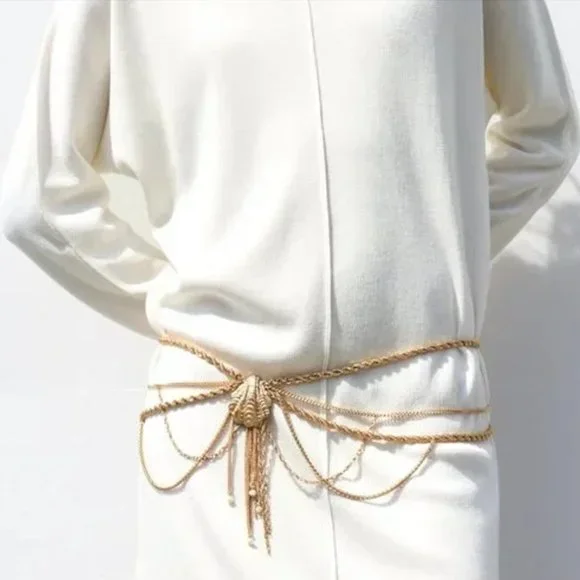 Accessories | Bloggers Fave Zara Metallic Belt Nwt | Poshmark